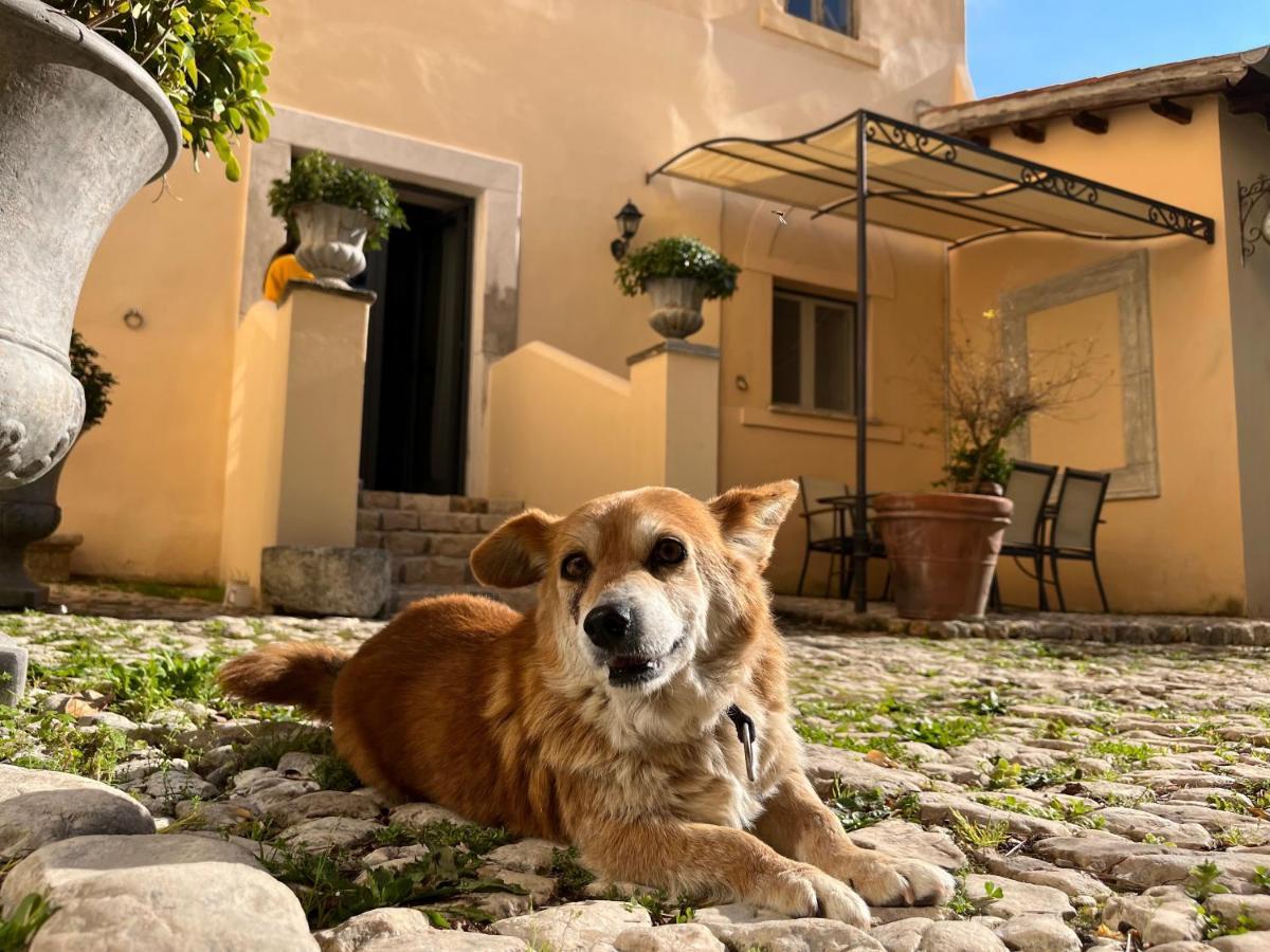 Agriturismo Castello Santa Margherita Cori Bagian luar foto